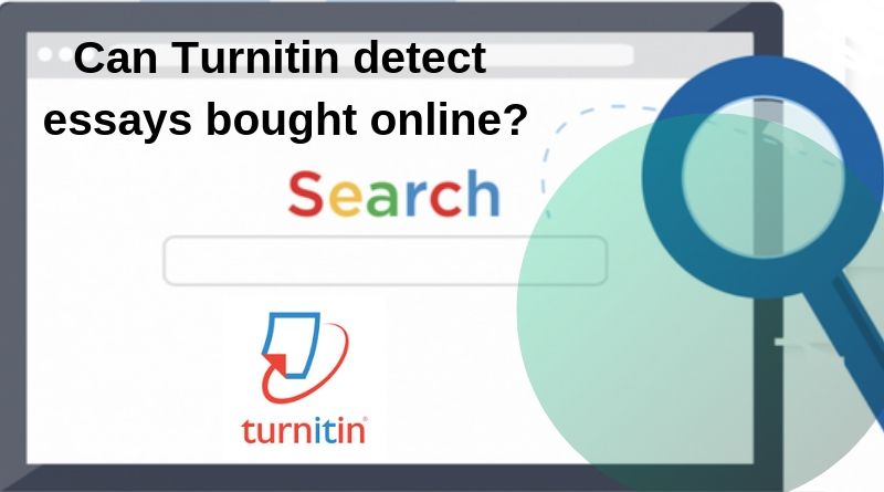 what does turnitin check